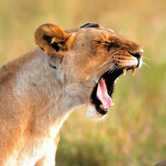 Александр Семёнов, 16.09.1991, Казань