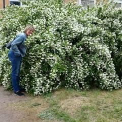Алина Вихманис, 21.11, Санкт-Петербург