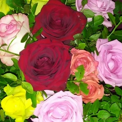 Лен4ik Малая, 17.07.1990, Москва