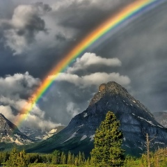 Мамед Замиев, 02.08, Москва