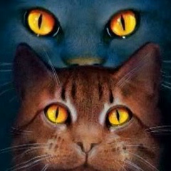 Настена Кошелева, 23.04, Степное