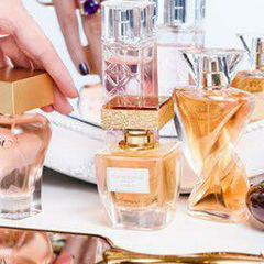 Оксана Шип, Запорожье