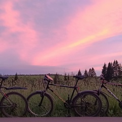 Toh Каменский, 23.11.1988, Зеленоград