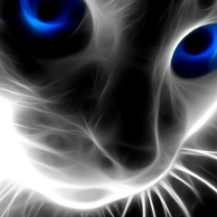 Игорь Анатольев, 12.07, Санкт-Петербург