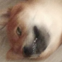 Артём Оськин, 22.03, Санкт-Петербург