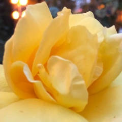 Алена Вербицкая, 07.05