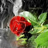 Гульнур Ахмарова, 08.04, Текели