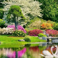 Любовь Сафонова, 03.07