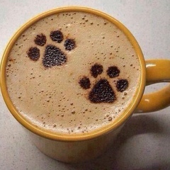 Татьяна Щербакова, 07.09.1982, Одинцово