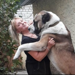 Наталья Караулова