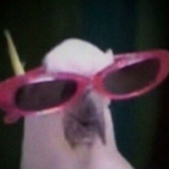 Влад Дворцов, 15.08.1994, Раменское