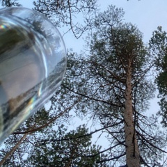 Елена Лигай, 13.03, Москва