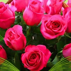 Марина Минина