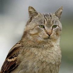 Николай Мирошниченко, 14.12.1989, Кисловодск