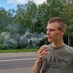 Михаил Деревянко, Поставы