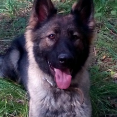 Олег Петроченко, 16.08, Новосибирск