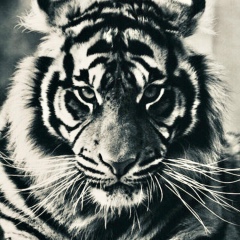 Миша Резник, 22.07, Чернигов