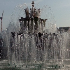 Анна Гусева, 24.12.1978, Москва