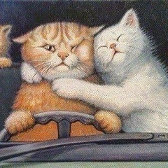 Екатерина Крылова, 02.11.1986, Псков