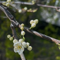 Таня Сорокина, 16.08.1987, Москва