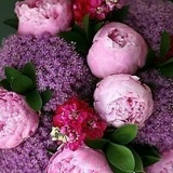 Dinara So, Алматы