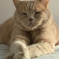 Данил Саяхов, 23.03, Новосибирск