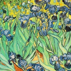 Светлана Букина, 11.06, Санкт-Петербург