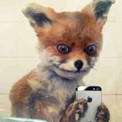 Ivan Novikov, 19.03, Москва