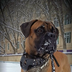 Михаил Лыткин, 31.05.1986, Актау