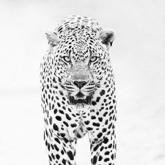 Алексей Шевелев, 16.03.1991, Санкт-Петербург