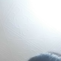 Динахмет Аргинбеков, 09.07, Семей