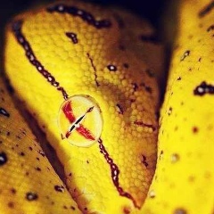 Azia Ayap, 26.07, Алматы