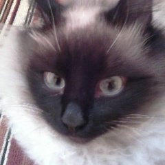 Таня Кудрявцева, 14.01.2004, Ковернино