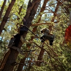 Виктор Флягин, 16.03, Ульяновск