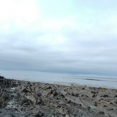 Константин Слепцов, 15.04