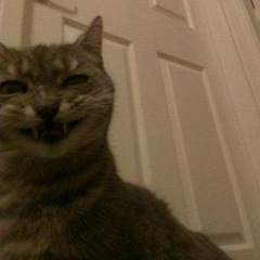 Міша Форманюк, 21.11, Santo Domingo de los Colorados