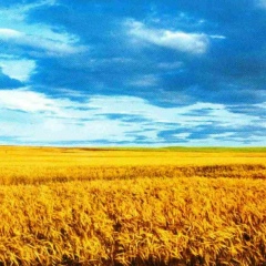 Mykhaylo Moroz, 21.11, Львов