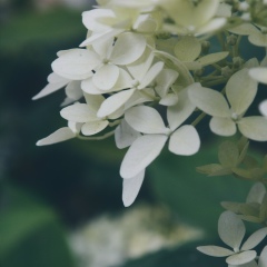 Дилечка Бадалова, 24.06.1993, Химки