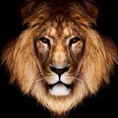 Рамзан Сагаев, 30.12.1993