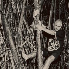 Юрий Писарь