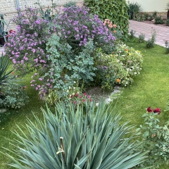 Ангелина Миньковская, 13.02, Алматы