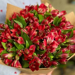 Фарида Агасиева, 17.08, Мурманск