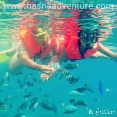 Travel Karimunjawa, 17.05.1997, Москва