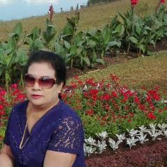 Wityi Wityi, 12.02.1980