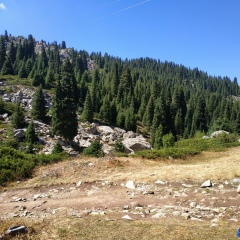 Айдана Мамрбекова, 03.10