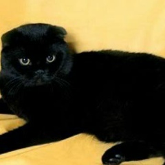 Ирина Ефимова, 05.10, Краснодар