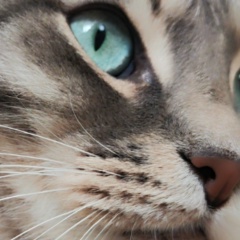 Ирина Сафонова, 15.07