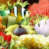 Катя Пушкарьова, Львов