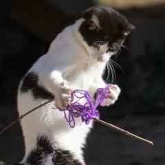 Светлана Коваленко, 28.04.1986, Архангельск
