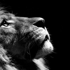 Akzhigit Ishanov, 28.02, Астана